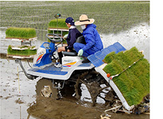 �C�x���g�̗l�q