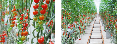 イベントの様子