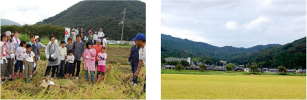 �C�x���g�̗l�q