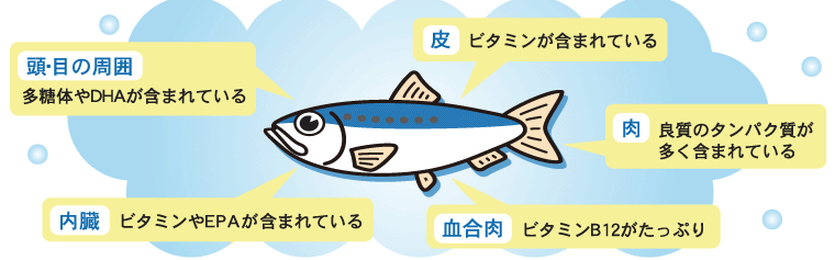 [���E�ڂ̎���]�����̂�DHA���܂܂�Ă��� [��]�r�^�~�����܂܂�Ă��� [��]�ǎ��̃^���p�N���������܂܂�Ă��� [����]�r�^�~����EPA���܂܂�Ă��� [������] �r�^�~��B12�������Ղ�