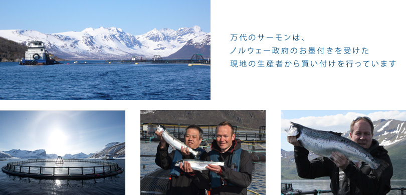 ����̃T�[�����́A�m���E�F�[���{�̂��n�t�����󂯂����n�̐��Y�҂��甃���t�����s���Ă��܂�